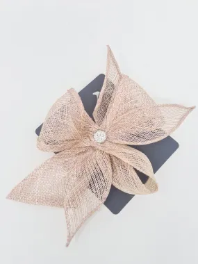 Alice Pale Peach Slide Hair Clip