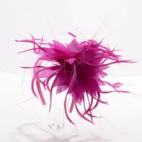 Double Feather Fascinators